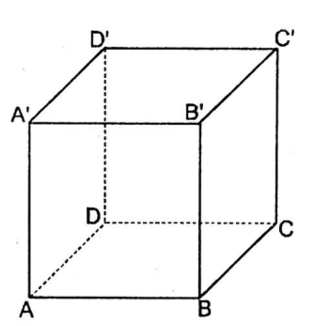 BÀI 1. HAI ĐƯỜNG THẲNG VUÔNG GÓC (2 TIẾT)