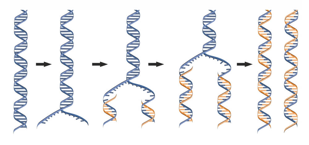 BÀI 37: NUCLEIC ACID VÀ ỨNG DỤNG