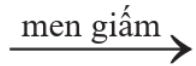 BÀI 24. ACETIC ACID