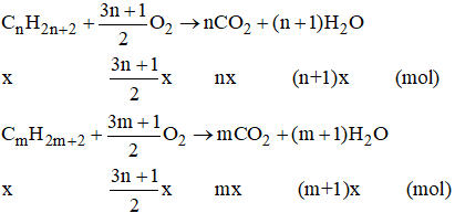 BÀI 21. ALKANE