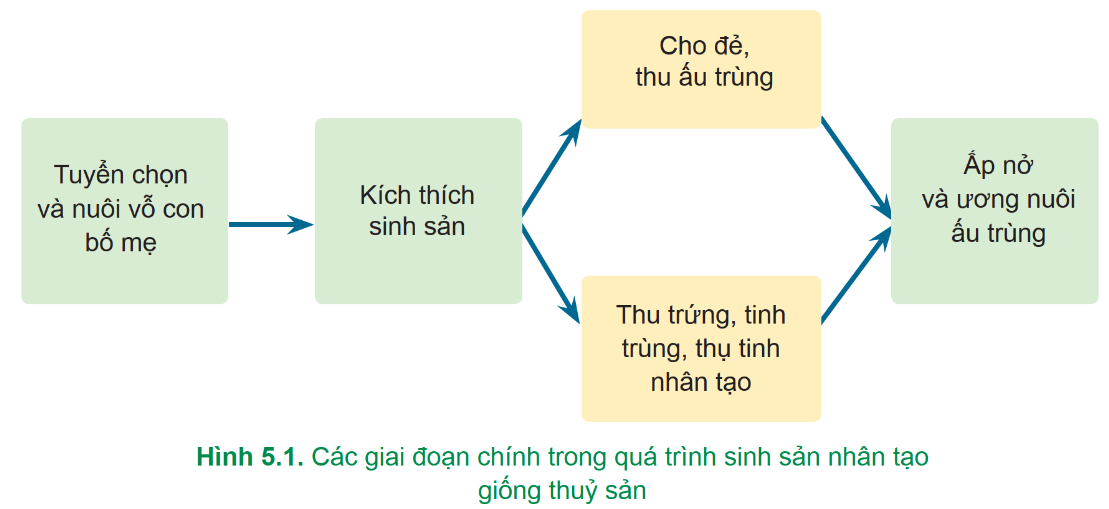 BÀI 5: ỨNG DỤNG CÔNG NGHỆ SINH HỌC TRONG SINH SẢN VÀ CHỌN, TẠO GIỐNG THỦY SẢN