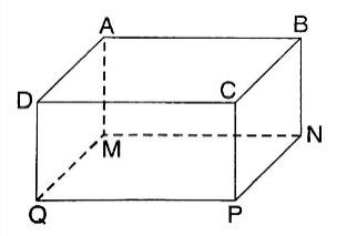 CHƯƠNG III. HÌNH HỌC TRỰC QUANBÀI 2: HÌNH LĂNG TRỤ ĐỨNG TAM GIÁC -  HÌNH LĂNG TRỤ ĐỨNG TỨ GIÁC (2 tiết)