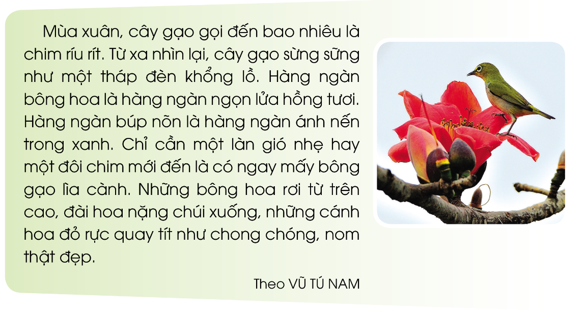 TIẾT 3A. KHỞI ĐỘNGGV giới thiệu tiết họcB. HOẠT ĐỘNG HÌNH THÀNH KIẾN THỨC1. Đánh giá kĩ năng đọc thành tiếng, học thuộc lòng- GV kiểm tra học thuộc lòng các khổ thơ hoặc bài thơ cần thuộc trong học kì I2. Tìm những sự vật được so sánh với nhau trong đoạn vănTìm những sự vật được so sánh với nhau trong đoạn văn sau:3. Tìm từ ngữ thích hợp với ô trống để tạo thành câu văn có hình ảnh so sánh Tìm từ ngữ thích hợp với mỗi ô trống để tạo thành câu văn có hình ảnh so sánhTIẾT 4A. KHỞI ĐỘNGGV giới thiệu tiết họcB. HOẠT ĐỘNG HÌNH THÀNH KIẾN THỨC1. Đánh giá kĩ năng đọc thành tiếng, học thuộc lòng- GV kiểm tra học thuộc lòng các khổ thơ hoặc bài thơ cần thuộc trong học kì I2. Nghe – viếta) Chuẩn bịNghe – viết Bé út của nhà.b) Hướng dẫn HS viết bài GV đọc cho HS viếtc) Sửa bài GV yêu cầu HS tự sửa lỗi3. Ôn luyện về dấu hai chấm Xác định tác dụng của dấu hai chấm trong những câu sau:TIẾT 5