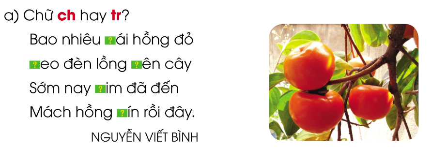 BÀI ĐỌC 3: TRONG NẮNG CHIỀUA. KHỞI ĐỘNGGV yêu cầu HS trả lời câu hỏi: Các em thường chơi trò chơi hoặc môn thể thao gì?B. HOẠT ĐỘNG HÌNH THÀNH KIẾN THỨC1. Đọc thành tiếngGV đọc mẫu cho HS bài thơ Trong nắng chiều2. Đọc hiểu+ Sân bóng của các bạn nhỏ có gì đặc biệt?+ Những chi tiết nào cho thấy trận đấu diễn ra rất sôi nổi?+ Em hiểu như thế nào về câu thơ “Đợt phản công gió lốc / Cú đá xoay Pê-lê”?+ Khung cảnh đồng quê thanh bình được miêu tả qua những hình ảnh nào?Sản phẩm dự kiếnBài thơ miêu tả cảnh các bạn nhỏ ở nông thôn chơi thể thao trên đồng ruộng. Cảm nhận được niềm vui của các bạn nhỏ và vẻ đẹp của nông thôn thanh bình.C. HOẠT ĐỘNG LUYỆN TẬPCâu 1: Sân bóng của các bạn nhỏ có gì đặc biệt?A. đó là ruộng làng sau khi gặt xong, cỏ sân vàng óng. B. sân bóng của làng vừa mới xâyC. sân bóng rộng mênh môngD. Cả A, B, CCâu 2: Nếu mỗi người ngày nào cũng tập thể dục thì có ích lợi gì?A. khí huyết lưu thông, tinh thần đầy đủ, như vậy là sức khỏe. B. xương khớp chắc khỏe, dẻo daiC. cơ thể cân đốiD. Đáp án khácCâu 3: Những chi tiết nào cho thấy trận đấu diễn ra rất sôi nổi?A. Mười “tên” chia hai đội/ Đen nhẫy tấm lưng trầnB. Trọng tài đứng giữa sân/ Bụm tay làm còi thổi/ Cuồng nhiệt quên bắt lỗi/ Reo ầm: “Sút! Sút đi!C. Cỏ sân ta vàng óng/ Khán giả ngồi lên rơm D. Cả A, BCâu 4: Trọng tài đứng giữa sân bụm tay làm còi thổi nên quên không làm gì?A. Bắt lỗiB. Bắt bóngC. Bắt nạtD. Đáp án khácCâu 5: Khung cảnh đồng quê thanh bình được miêu tả qua những hình ảnh nào?A. Đàn cò sà ngọn treB. Trong ráng chiều rực đỏC. Những chú bò no cỏD. Cả A, B, CSản phẩm dự kiếnCâu 1: ACâu 2: ACâu 3: DCâu 4: ACâu 5: DBÀI VIẾT 3: CHÍNH TẢA. KHỞI ĐỘNGGV giới thiệu bài họcB. HOẠT ĐỘNG HÌNH THÀNH KIẾN THỨC1. Nghe - viếta) Chuẩn bịNghe - viết: Cùng vui chơi (3 khổ thơ đầu). b) Viết bàiGV đọc cho HS viết c) Sửa bàiHS tự sửa lỗi 2. Chọn vần phù hợp với ô trốngVần oăn hay ănVần oăt hay ătVần oeo hay eo3. Chọn chữ hoặc vần phù hợp với ô trốngChữ ch hay tr:Vần it hay ich:LUYỆN NÓI VÀ NGHE. TRAO ĐỔI: EM ĐỌC SÁCH BÁO