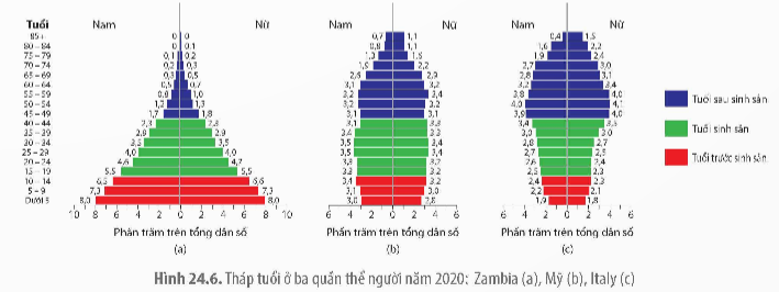 BÀI 24: SINH THÁI HỌC QUẦN THỂ