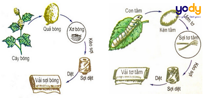 BÀI 2: THIẾT KẾ TRANG PHỤC TỪ VẬT LIỆU SẴN CÓ