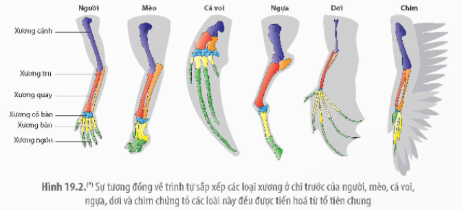 PHẦN NĂM. TIẾN HÓA