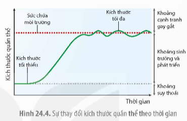 BÀI 24: SINH THÁI HỌC QUẦN THỂ