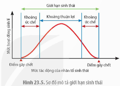 PHẦN SÁU. SINH THÁI HỌC VÀ MÔI TRƯỜNG