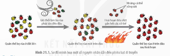 BÀI 21: HỌC THUYẾT TIẾN HÓA TỔNG HỢP HIỆN ĐẠI