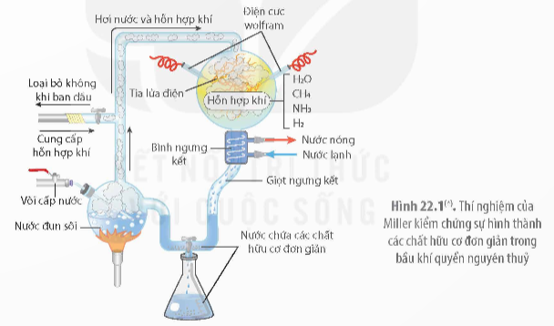 BÀI 22: TIẾN HÓA LỚN VÀ QUÁ TRÌNH PHÁT SINH CHỦNG LOẠI