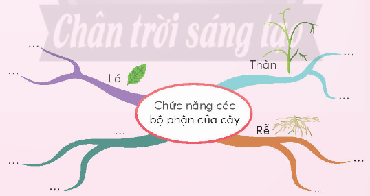 TUẦN 26: HÌNH THÀNH THÓI QUEN TƯ DUY KHOA HỌC