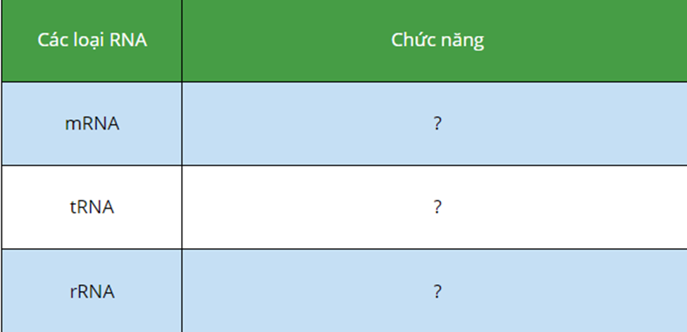 BÀI 37. NUCLEIC ACID VÀ ỨNG DỤNG