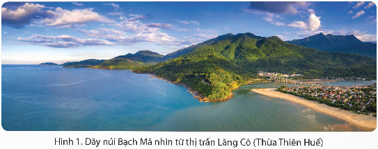 PHIẾU HỌC TẬP 1BÀI 11: THIÊN NHIÊN VÙNG DUYÊN HẢI MIỀN TRUNGHình dưới đây gợi cho em điều gì về vùng Duyên hải miền Trung?....................................................................................................................................................................................................................................................................................................................................................................................................................................................................................................................................................................Nêu vị trí của vùng Duyên hải miền Trung? Tiếp giáp với những vùng nào? Tiếp giáp với quốc gia nào?....................................................................................................................................................................................................................................................................................................................................................................................................................................................................................................................................................................Nêu đặc điểm của địa hình Duyên hải miền Trung?........................................................................................................................................................................................................................................................................................................................................................................................................................….........................................................................................................................................Khí hậu của vùng Duyên hải miền Trung có gì đặc biệt?.............................................................................................................................................................................................................................................................................................................................................................................................................................................................................................................................................................................................................................................................................................................Nêu vị trí của hai quần đảo Hoàng Sa và Trường Sa?...........................................................................................................................................................................................................................................................................................................................................................................................................................PHIẾU HỌC TẬP 2BÀI 11: THIÊN NHIÊN VÙNG DUYÊN HẢI MIỀN TRUNG