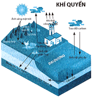 BÀI 14: NĂNG LƯỢNG CỦA TRÁI ĐẤT. NĂNG LƯỢNG HOÁ THẠCH(15 CÂU)