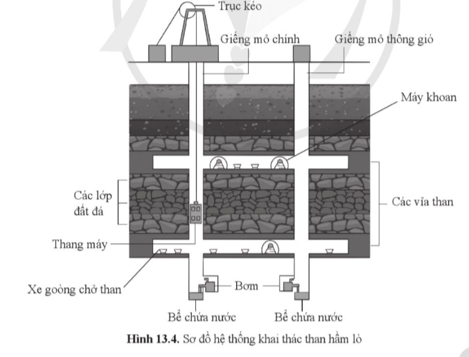 BÀI 13: SỬ DỤNG NĂNG LƯỢNG(14 CÂU)