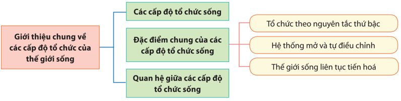 ÔN TẬP PHẦN 1: GIỚI THIỆU KHÁI QUÁT CHƯƠNG TRÌNH MÔN SINH HỌC