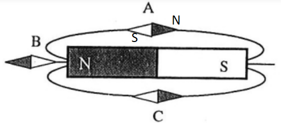 BÀI 14 : TỪ TRƯỜNG(16 CÂU)