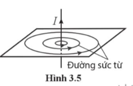 CHƯƠNG 3. BÀI 1. TỪ TRƯỜNG (17 CÂU)