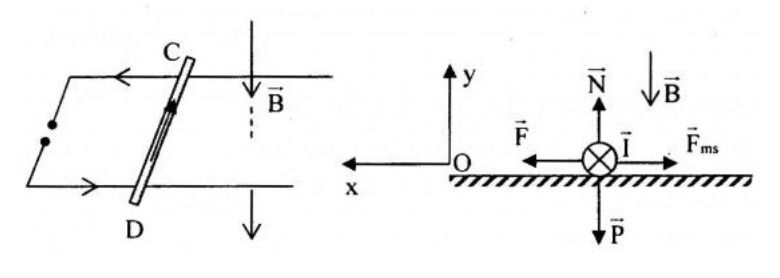 BÀI 15 : LỰC TỪ TÁC DỤNG LÊN DÂY DẪN MANG DÒNG ĐIỆN CẢM ỨNG TỪ(15 CÂU)