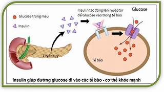 BÀI 27. GLUCOSE VÀ SACCHAROSE