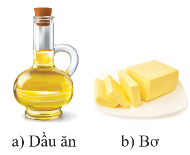 CHỦ ĐỀ 9: LIPID. CARBOHYDRATE. PROTEIN. POLYMER