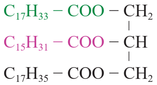 CHỦ ĐỀ 9: LIPID. CARBOHYDRATE. PROTEIN. POLYMER