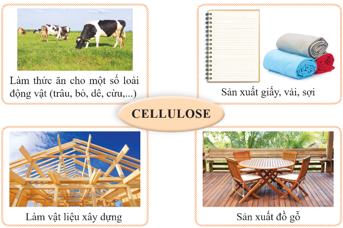 BÀI 27. TINH BỘT VÀ CELLULOSE