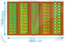 CHỦ ĐỀ C. TỔ CHỨC LƯU TRỮ, TÌM KIẾM VÀ TRAO ĐỔI THÔNG TIN