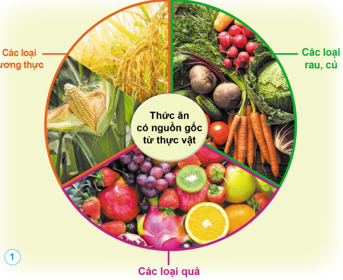 PHIẾU HỌC TẬP 1BÀI 31: VAI TRÒ CỦA THỰC VẬT TRONG CHUỖI THỨC ĂN1. Kể tên các loại thức ăn của con người có nguồn gốc từ thực vật?......................................................................................................................................................................................................................................................................................................................................................................................................................…..........................................................................................................................................2. Nhận xét vị trí của thực vật trong các chuỗi thức ăn dưới đây?...........................................................................................................................................................................................................................................................................................................................................................................................................................3. Nêu vai trò của thực vật trong việc cung cấp thức ăn cho con người và động vật?....................................................................................................................................................................................................................................................................................................................................................................................................................................................................................................................................................................4. Theo em, nếu thiếu đi thực vật thì điều gì sẽ xảy ra?..........................................................................................................…................................................................................................................................................................................................................................................................................................................................................................................................................................................................................................................................................................................................PHIẾU HỌC TẬP 2