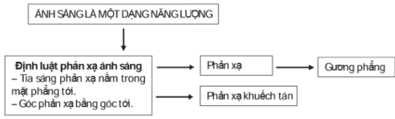 BÀI TẬP (CHỦ ĐỀ 6)