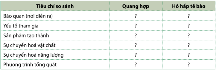 ÔN TẬP CHỦ ĐỀ 8