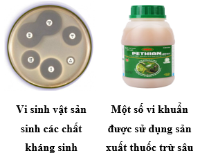 CHUYÊN ĐỀ 2. KIỂM SOÁT SINH HỌC