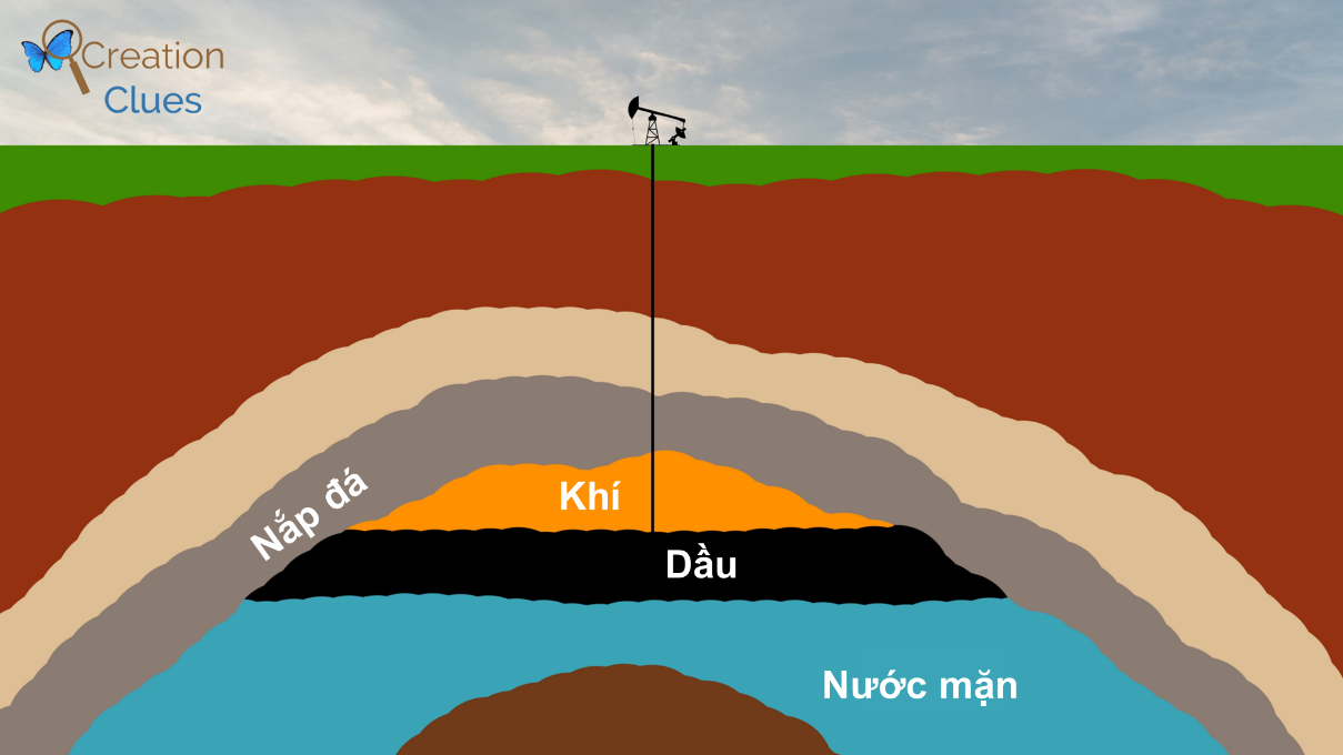 PHIẾU HỌC TẬP 2