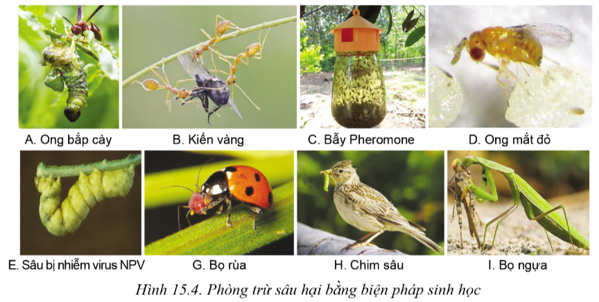 CHUYÊN ĐỀ 2. KIỂM SOÁT SINH HỌC