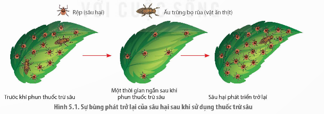 CHUYÊN ĐỀ 2. KIỂM SOÁT SINH HỌC