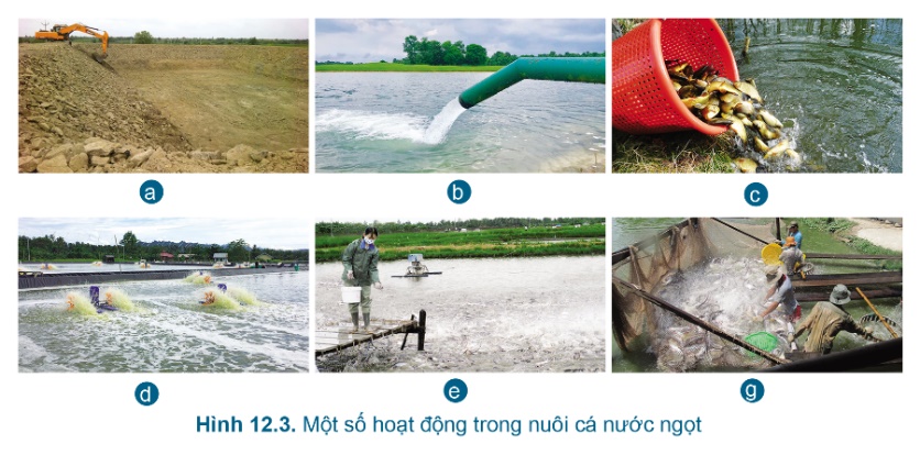 BÀI 12. QUY TRÌNH NUÔI CÁ NƯỚC NGỌT TRONG AO