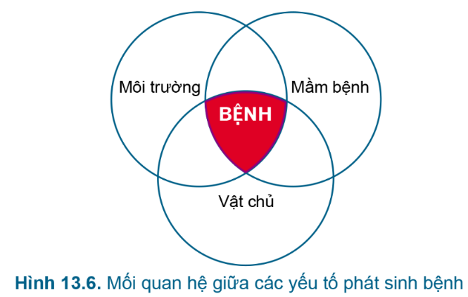 BÀI 13. QUẢN LÍ MÔI TRƯỜNG AO NUÔI VÀ PHÒNG TRỊ BỆNH THỦY SẢN