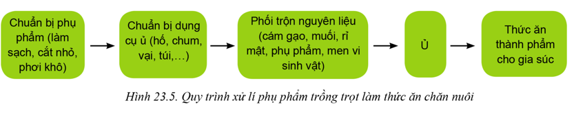 BÀI 23: CỘNG NGHỆ VI SINH TRONG BẢO VỆ MÔI TRƯỜNG VÀ XỬ LÍ CHẤT THẢI TRỒNG TRỌT