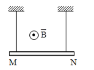 BÀI 10 : LỰC TỪ. CẢM ỨNG TỪ(17 CÂU)