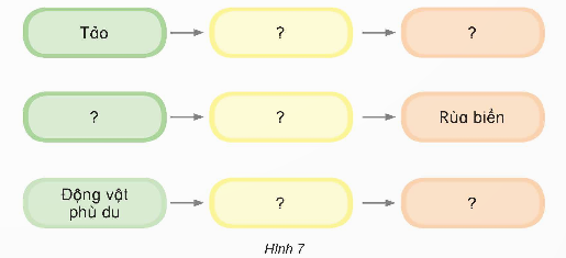 PHIẾU HỌC TẬP 1BÀI 22: CHUỖI THỨC ĂN  1. Nêu tên các sinh vật có trong mỗi hình sau? Trong đó, sinh vật nào là thức ăn của sinh vật nào?......................................................................................................................................................................................................................................................................................................................................................................................................................….......................................................................................................................................….........................................................................................................................................2. Em hãy mô tả mối liên hệ về thức ăn giữa các sinh vật có trong hình ở Bài 1?......................................................................................................................................................................................................................................................................................................................................................................................................................................................................................................................................................................................................................................................................................................................................................................................................................................................3. Viết sơ đồ chuỗi thức ăn có trong Hình 6 ?....................................................................................................................................................................................................................................................................................................................................................................................................................................................................................................................................................................4. Nêu ví dụ về một vài chuỗi thức ăn mà em biết?.................................................................................................................................................................................................................................................................................................................................................................................................................................................................................................................................................................…PHIẾU HỌC TẬP 2