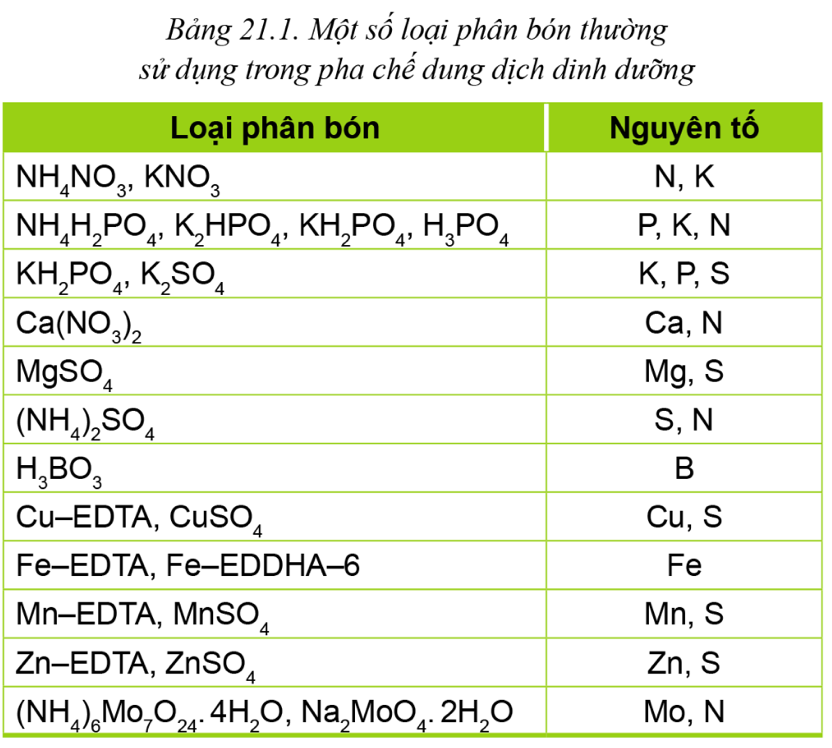 BÀI 21: CÔNG NGHỆ TRỒNG CÂY KHÔNG DÙNG ĐẤT