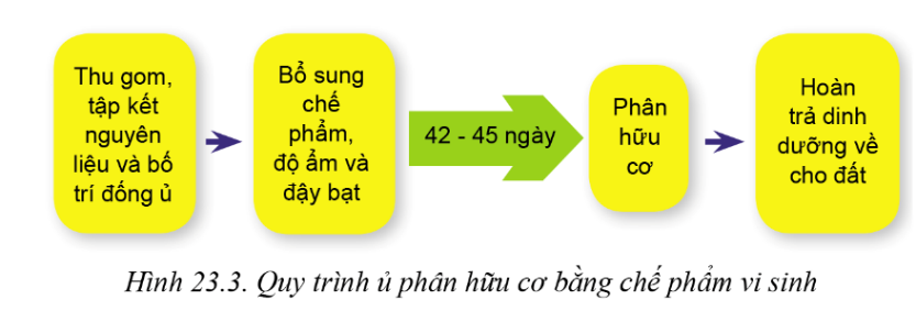 BÀI 23: CỘNG NGHỆ VI SINH TRONG BẢO VỆ MÔI TRƯỜNG VÀ XỬ LÍ CHẤT THẢI TRỒNG TRỌT