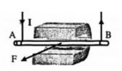 BÀI 10 : LỰC TỪ. CẢM ỨNG TỪ(17 CÂU)