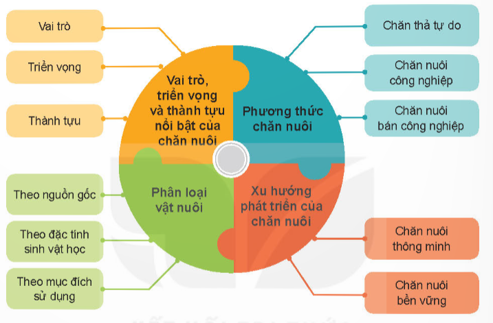 ÔN TẬP CHƯƠNG I