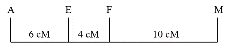 BÀI 11: LIÊN KẾT GENE VÀ HOÁN VỊ GENEA. KHỞI ĐỘNG- GV dẫn dắt, đặt vấn đề; HS vận dụng kiến thức, kĩ năng đã học để giải quyết vấn đề.B. HOẠT ĐỘNG HÌNH THÀNH KIẾN THỨCI. LIÊN KẾT GENE1. Thí nghiệm về liên kết gene của MorganGV tổ chức cho HS tìm hiểu thí nghiệm và trình bày khái niệm về liên kết gene?Sản phẩm dự kiến:- Liên kết gene là hiện tượng các gene trên cùng một NST luôn di truyền cùng nhau.2. Vai trò của liên kết geneTrình bày vai trò của liên kết gene?Sản phẩm dự kiến:- Trong tự nhiên: Các gene có lợi nằm trên cùng một NST → đảm bảo cho sinh vật thích nghi với môi trường, duy trì sự ổn định của loài.- Trong chọn, tạo giống: Các đoạn nucleotide liên kết chặt với các gene quy định tính trạng mong muốn trở thành chỉ thị phân tử để sàng lọc, lựa chọn tính trạng mong muốn.II. HOÁN VỊ GENE1. Thí nghiệm về hoán vị gene của MorganGV tổ chức cho HS tìm hiểu thí nghiệm và trình bày khái niệm về hoán vị gene của Morgan?Sản phẩm dự kiến:- Hoán vị gene là hiện tượng các gene trao đổi vị trí cho nhau trên NST, làm xuất hiện các tổ hợp gene mới. - Tần số hoán vị gene được tính bằng tỉ lệ phần trăm các giao tử tái tổ hợp (luôn nhỏ hơn hoặc bằng 50%).2. Vai trò của hoán vị geneTrình bày vai trò của hoán vị gene?Sản phẩm dự kiến:- Hoán vị gene làm xuất hiện các giao tử tái tổ hợp, qua thụ tinh tạo ra các biến dị tổ hợp ở các loài sinh sản hữu tính, cung cấp nguyên liệu cho tiến hóa và chọn giống.- Dựa vào tần số hoán vị gene có thể lập bản đồ di truyền.III. BẢN ĐỒ DI TRUYỀN1. Khái niệm bản đồ di truyềnTrình bày khái niệm bản đồ di truyền?Sản phẩm dự kiến:- Khái niệm: Bản đồ di truyền là sơ đồ biểu diễn trật tự sắp xếp và khoảng cách tương đối giữa các gene trên NST.2. Ý nghĩa của bản đồ di truyềnTrình bày ý nghĩa của bản đồ di truyền?Sản phẩm dự kiến:- Dựa vào bản đồ di truyền có thể dự đoán được tần số các tổ hợp gene mới trong các phép lai, xác định được vị trí của gene gây bệnh ở người, đem lại ý nghĩa lớn trong công tác chọn, tạo giống và y học.IV. QUAN ĐIỂM CỦA MENDEL VÀ MORGAN VỀ TÍNH QUY LUẬT CỦA HIỆN TƯỢNG DI TRUYỀNTrình bày quan điểm của Mendel và Morgan?Sản phẩm dự kiến:- Quan điểm của Mendel: Các nhân tố di truyền tồn tại riêng rẽ, không pha trộn và phân li độc lập với nhau, mỗi nhân tố di truyền được truyền từ bố, mẹ và có sự kết hợp ngẫu nhiên ở đời. - Quan điểm của Morgan: Gene nằm trên NST, các gene chỉ phân li độc lập khi nằm trên các NST khác nhau; Các gene nằm trên cùng một NST thường di truyền cùng nhau; Trình tự các gene trên NST có thể được xác định dựa trên tần số hoán vị gene.C. HOẠT ĐỘNG LUYỆN TẬPCâu 1: Quá trình giảm phân ở cơ thể có kiểu gene De dE̿  không xảy ra hoán vị gene. Theo lí thuyết, cơ thể này tạo ra các loại giao tử làA. De và de.          B. DE và dE.         C. De và dE.          D. DE và de.Câu 2: Trên một NST thường, khoảng cách giữa hai gene A và B là 34 cM. Theo lí thuyết, tần số hoán vị giữa hai gene này làA. 33%.                B. 17%.                C. 66%.                D. 34%.Câu 3: Ở ruồi giấm, allele A quy định thân xám là trội hoàn toàn so với allele a quy định thân đen; allele B quy định cánh dài là trội hoàn toàn so với allele b quy định cánh cụt. Kiểu gene nào sau đây quy định kiểu hình thân xám, cánh cụt?A. aB/aB.             B. Ab/Ab.             C. AB/AB.            D. ab/ab. Câu 4: Hình sau đây thể hiện bản đồ di truyền giữa 4 gene trên một nhiễm sắc thể.Tần số hoán vị gene giữa hai gene nào là cao thứ hai?A. A và E.             B. A và M.            C. A và F.             D. E và M.Câu 5: Trong một thí nghiệm lập bản đồ gene ở ruồi giấm Drosophila, tần số tái tổ hợp của bốn gene được thể hiện ở hình bên. Con số trong ô chỉ tần số tái tổ hợp của cặp gene (đơn vị: %). Thứ tự sắp xếp của các gene trên bản đồ di truyền nhiễm sắc thể làA. c – b – d – a.                                           B. a – b – c – d.C. a – c – b – d.                                           D. d – b – a – c.Sản phẩm dự kiến:Câu 1: CCâu 2: DCâu 3: BCâu 4: DCâu 5: CD. HOẠT ĐỘNG VẬN DỤNG