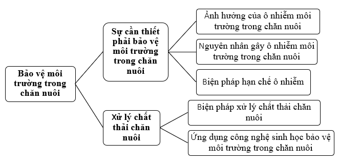 ÔN TẬP CHƯƠNG VI