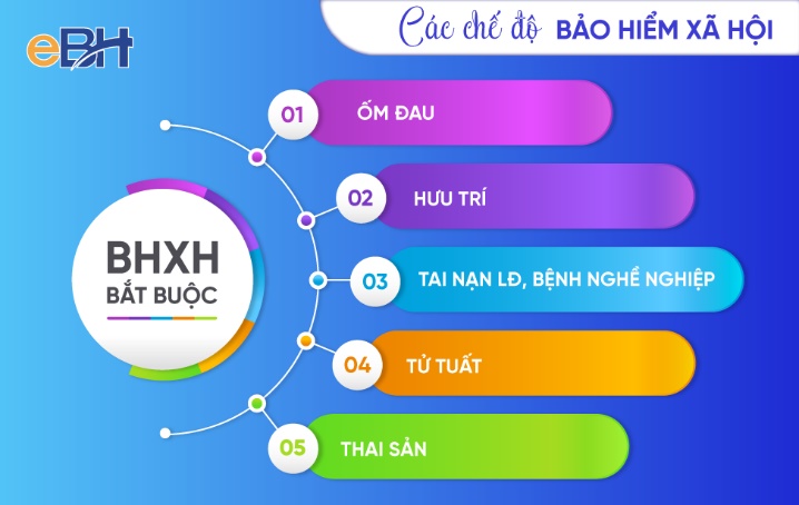 HOẠT ĐỘNG THỰC HÀNH VÀ TRẢI NGHIỆM