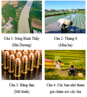 BÀI 1: MÙA THU HOẠCH(11 CÂU)A. CÂU HỎI TRẮC NGHIỆM1. NHẬN BIẾT (4 CÂU)Câu 1: Kết hợp hình hoạt động của nhóm nhân vật chính với cảnh vật có thể tạo được:A. Bức tranh lao động lao động trong mùa thu hoạch.B. Cảnh sắc thiên nhiên trong tranh vẽ.C. Thời gian thu hoạch.D. Màu sắc hài hòa, bắt mắt. Câu 2: Vẽ tranh về đề tài mùa thu hoạch cần mấy bước?A. Hai bước.C. Bốn bước.B. Ba bước.D. Năm bước. Câu 3: Vẽ tranh về chủ đề mùa thu hoạch là:A. Cách thể hiện vể đẹp của thiên nhiên.B. Cách thể hiện vẻ đẹp và tôn vinh giá trị lao động của con người trong cuộc sống.C. Cách thể hiện giá trị của mùa bội thu.D. Cách thể hiện vẻ đẹp phẩm chất của con người Việt Nam. Câu 4: Tác phẩm Làm gạo của tác giả Nguyễn Thế Vinh được sử dụng chất liệu nào?A. Sơn dầu.C. Sơn mài.B. Màu goát.D. Bút dạ.  2. THÔNG HIỂU (3 CÂU)Câu 1: Đâu không phải là một trong các bước vẽ tranh về đề tài mùa thu hoạch?A. Vẽ các nhân vật chính thể hiện công việc của mùa thu hoạch.B. Vẽ phác họa nhân vật phụ trước tiên.C. Vẽ cảnh vật phù hợp với các công việc của nhân vật.D. Vẽ màu cho các nhân vật chính. Câu 2: Đâu là bước đầu tiên để vẽ tranh về đề tài mùa thu hoạch?A. Vẽ các nhân vật chính thể hiện công việc của mùa thu hoạch.B. Vẽ cảnh vật phù hợp với các công việc của nhân vật.C. Vẽ nhân vật phụ thể hiện công việc của mùa thu hoạch.D. Vẽ các chi tiết từ xa tới gần. Câu 3: Đâu là bước cuối cùng để vẽ tranh về đề tài mùa thu hoạch?A. Vẽ nhân vật phụ thể hiện công việc của mùa thu hoạch.B. Vẽ màu cho các nhân vật phụ.C. Vẽ màu, hoàn thiện bức tranh.D. Vẽ màu cho các nhân vật chính. 3. VẬN DỤNG (2 CÂU)Câu 1: Quan sát bức tranh dưới đây và cho biết người nông dân đang thu hoạch gì?A. Lúa gạo.B. Lúa mì.C. Ngô.D. Sắn.  Câu 2: Người dân Ninh Thuận thu hoạch nho vào tháng mấy trong năm?A. Tháng 2, 3 và 4.C. Tháng 8, 9 và 10.B. Tháng 4, 5 và 6.D. Tháng 10. 11 và 12.---------------- Còn tiếp ------------------ BÀI 2: ĐỒ CHƠI DÂN GIAN(10 CÂU)