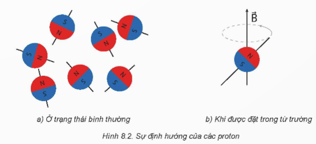 BÀI 8: CHỤP CỘNG HƯỞNG TỪ